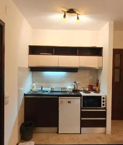 Popovic 즐라티보